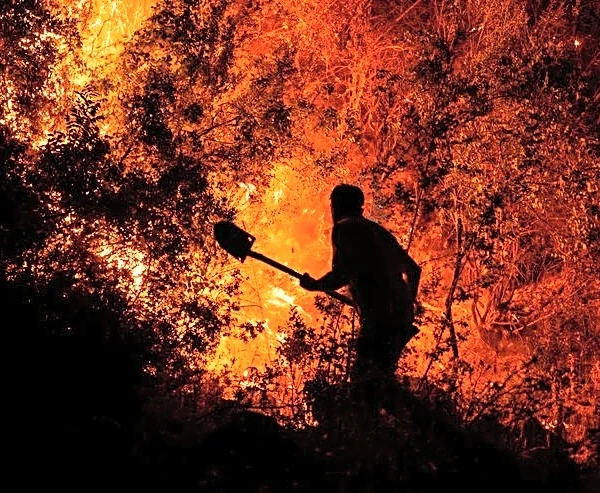 Analysis-How the hard reality of climate change hit Europe's economy this summer