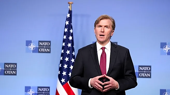 US not disengaging from Asia, seeks 'partners, not protectorates,' says Pentagon official