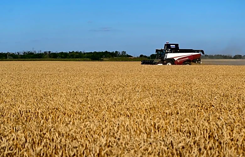 Analysis-Decades of farm gains, inventories strengthen food system against 'super' El Nino