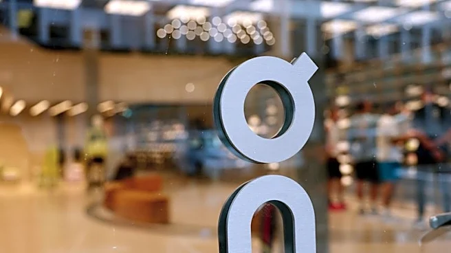 Sportswear brand On misses quarterly sales view as consumers demand weakens