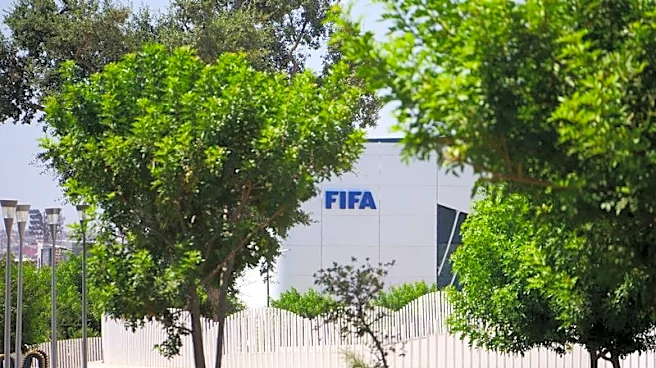 Soccer-FIFA needs an overhaul not a leadership debate, FIFPRO Europe chief says