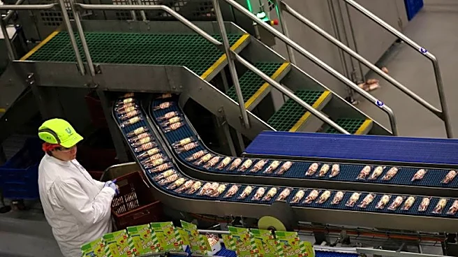 Analysis-Ice cream makers bet consumers still want treats, just healthier ones