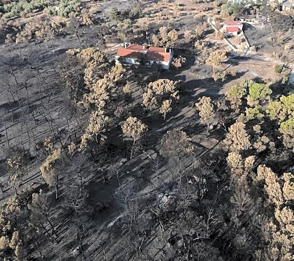 Tourists flee as Greek wildfire descends on resort village
