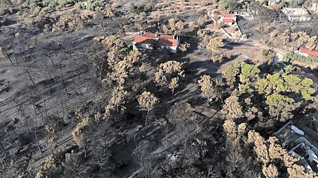 Tourists flee as Greek wildfire descends on resort village