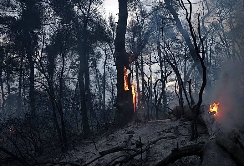 Hundreds evacuated from Croatian and Greek resorts as wildfires stretch across Europe