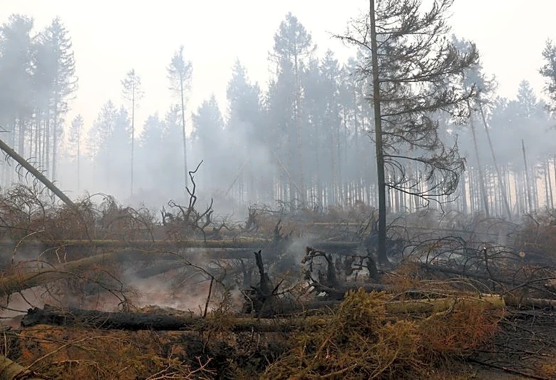 Belgium's biggest wildfire on record heads towards Germany