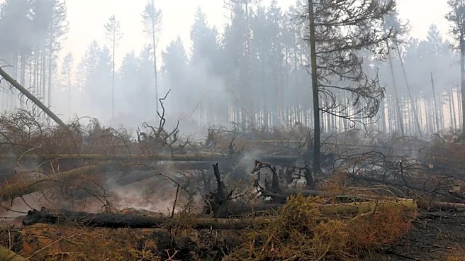 Belgium's biggest wildfire on record heads towards Germany