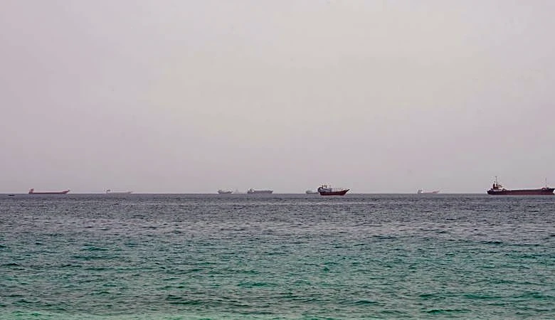 Shipping slows through Strait of Hormuz after tanker attacks, data shows