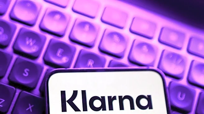 Klarna trims full-year revenue, volume outlook as German retail weakens