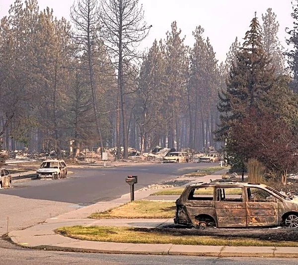 Trump administration moves to rescind rule that protects millions of forest acres