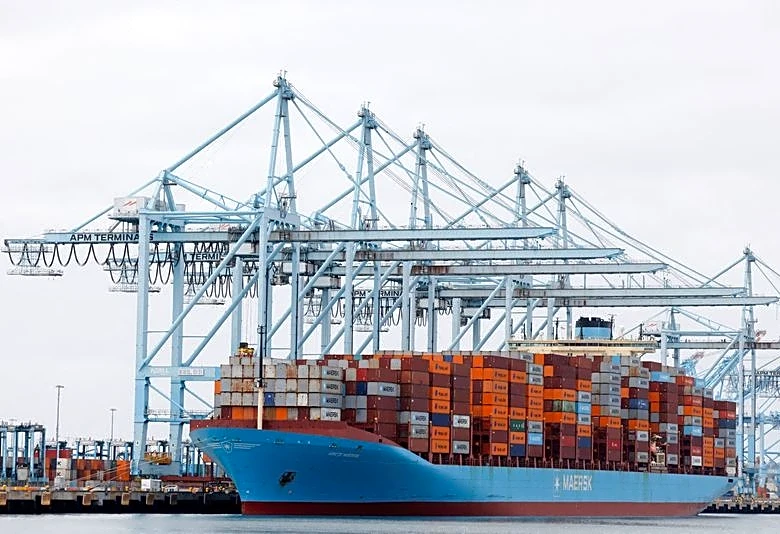 Port of Los Angeles posts high July volume, helped by retail goods, AI project parts