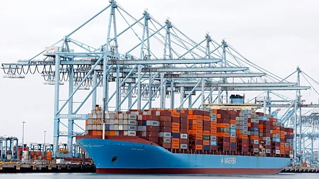 Port of Los Angeles posts high July volume, helped by retail goods, AI project parts