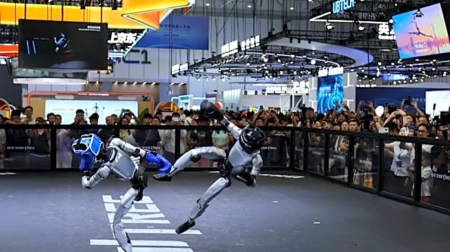 China robot makers seek to turn humanoid hype into useful work