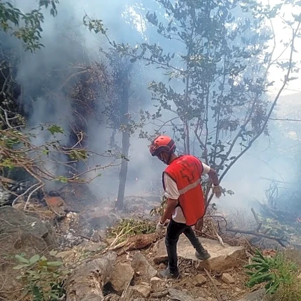 Kenya tourist helicopter crash kills 7, including Americans and Ecuador security chief