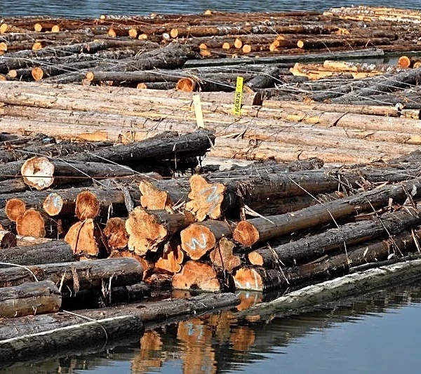 US could cut key tariffs as part of proposed Canada deal, source says