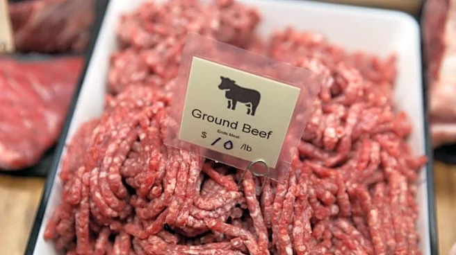 Trump to temporarily ease US beef tariffs, irking cattle producers