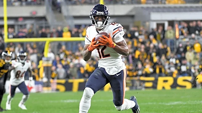 Veteran WR Allen Robinson announces retirement