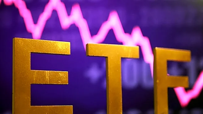 Analysis-US leveraged single-stock ETF boom may be cooling