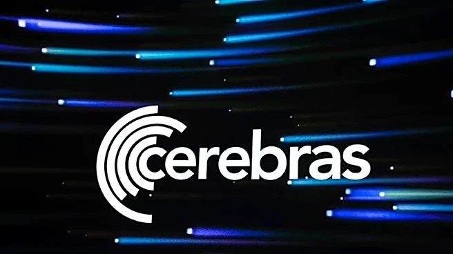 Cerebras shares plummet 16% after results fail to impress investors (August 12)