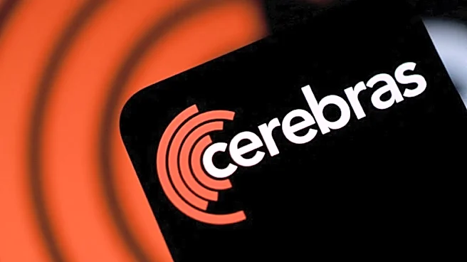 Cerebras slumps as mixed quarterly results test AI growth narrative (August 13)
