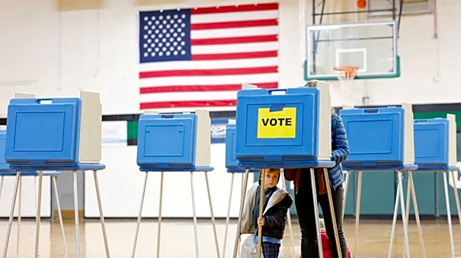 US voters favor Democratic Party on cost of living, Reuters/Ipsos poll finds