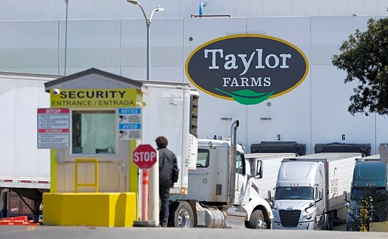 Exclusive-US produce supplier Taylor Farms frequently fails to disclose workplace injury tallies, records show