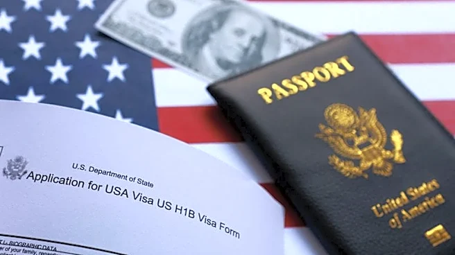 What are H-1B visas for skilled workers and what changes loom?