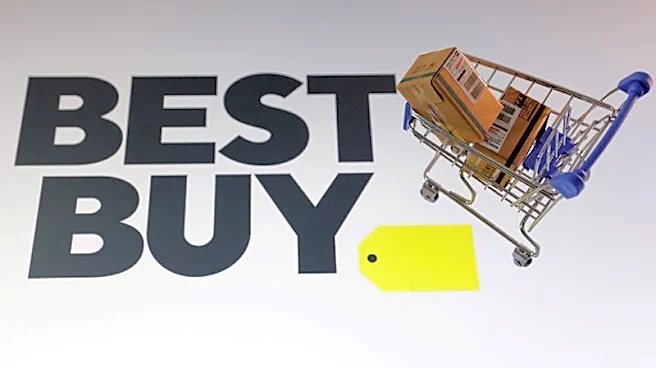 Best Buy's stronger forecast fails to reassure investors; shares fall
