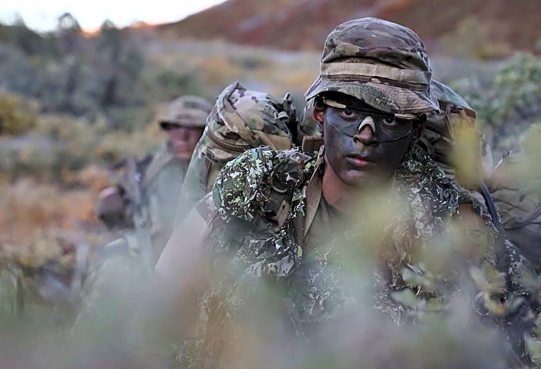 Denmark sends conscripts to Greenland as Arctic tensions grow