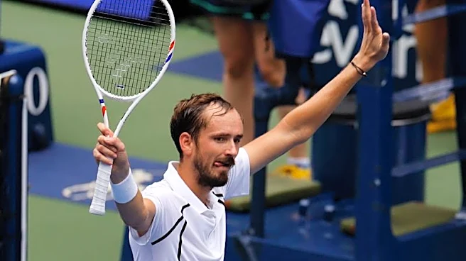 Tennis-Medvedev brushes aside Gorzny after birds ruffle his feathers