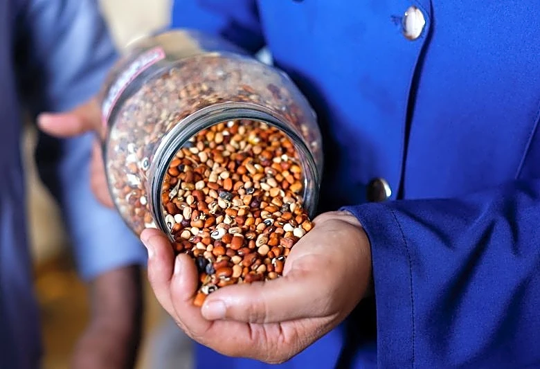 Gaza seed bank helps farmers cultivate the little land they have left