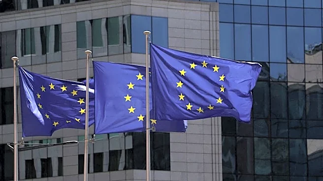 Revamped EU antitrust rules make exceptions for sustainable companies