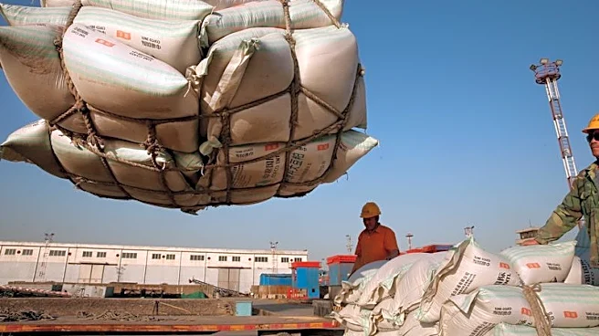 Ahead of Xi's US visit, China's soybean crushers face high costs, weak margins