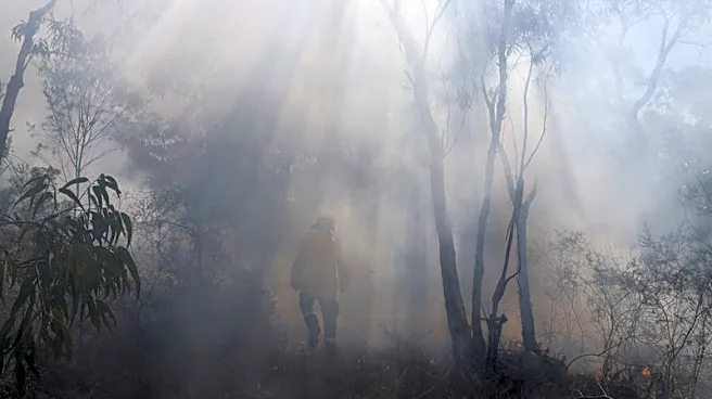 Australia braces for its own fire season after sweltering European summer