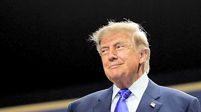 Explainer-Is Trump's $5,000 'dividend' legal and how would it work?
