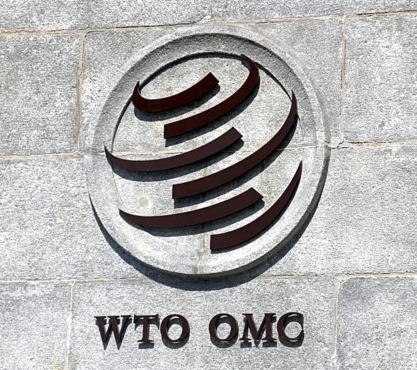 WTO says global trade system at critical juncture, urges reform