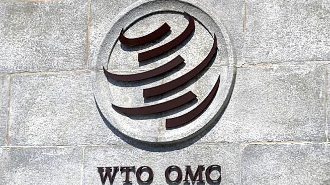 WTO says global trade system at critical juncture, urges reform