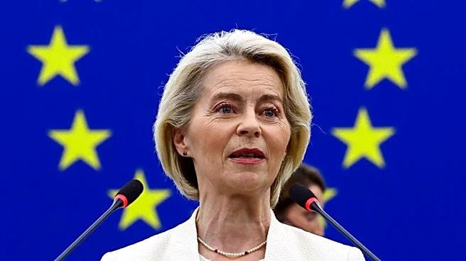 EU's von der Leyen backs AI slowdown, to invite frontier labs for talks