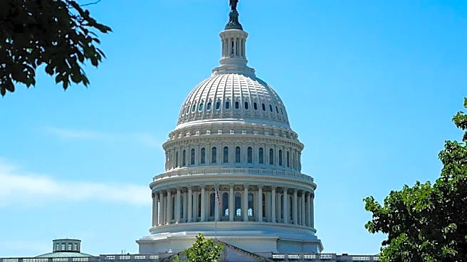 US senators seek more information on Trump's Saudi nuclear proposal, letter says