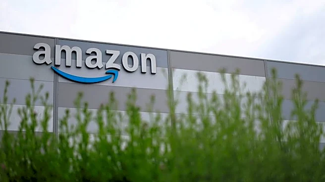 Amazon, Walmart chatbots attract senator ire over 'made in USA' label snags