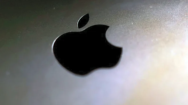 UK silence over demand for Apple data access is farcical, lawyer says