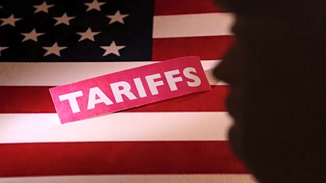 Analysis-Russia sanctions bill gives Trump sweeping new tariff powers