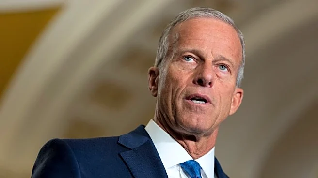 Trump is talking with Senate's Thune about bill to cut data-center electricity costs