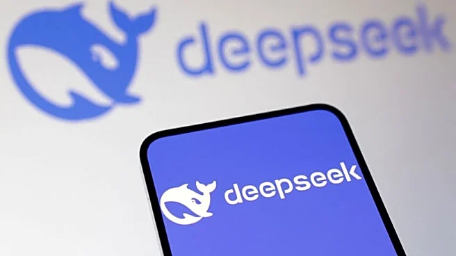 Exclusive-DeepSeek to brief UN Security Council on AI this week, sources say