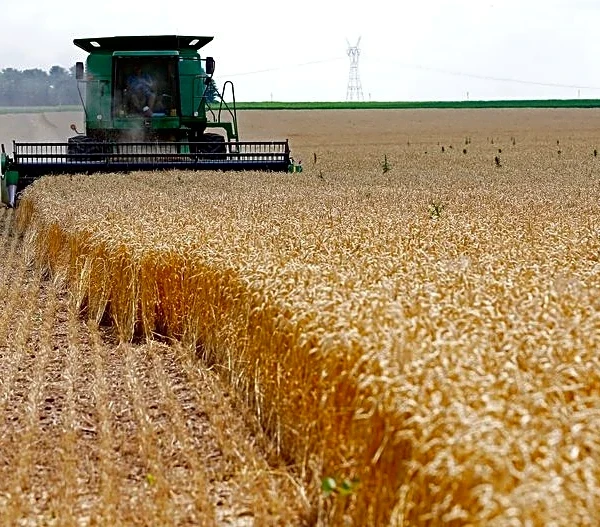 Nebraska regulator dismisses complaint against The Andersons over unpaid farmer claim