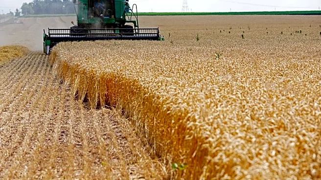Nebraska regulator dismisses complaint against The Andersons over unpaid farmer claim