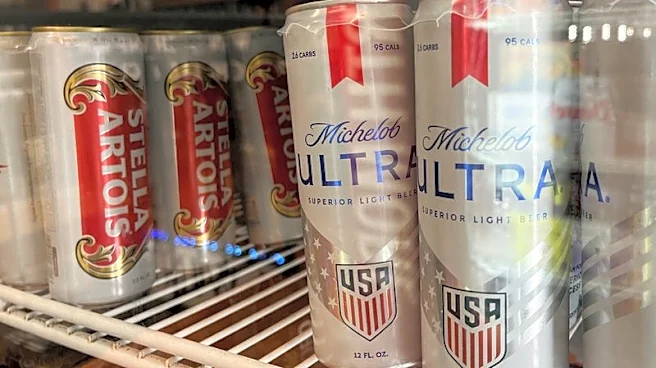 Smaller packs, more protein: AB InBev to adapt drinks to shifting tastes
