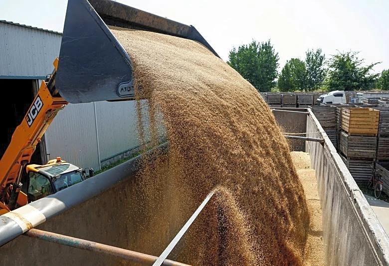 Analysis-Wheat buyers brace for higher costs as Russia-Ukraine war drags on