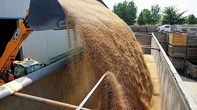 Analysis-Wheat buyers brace for higher costs as Russia-Ukraine war drags on