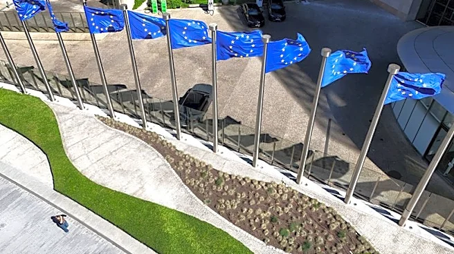 EU could recoup third of US economic lead with bigger firms, ECB says